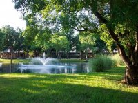 Pond with Fountain
