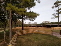 Four rail paddock fences