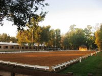 Outdoor Arena