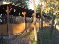 Outdoor Stalls