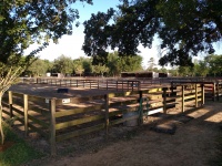 Paddocks