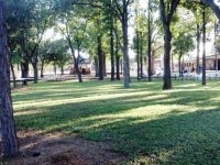 Picnic Grounds